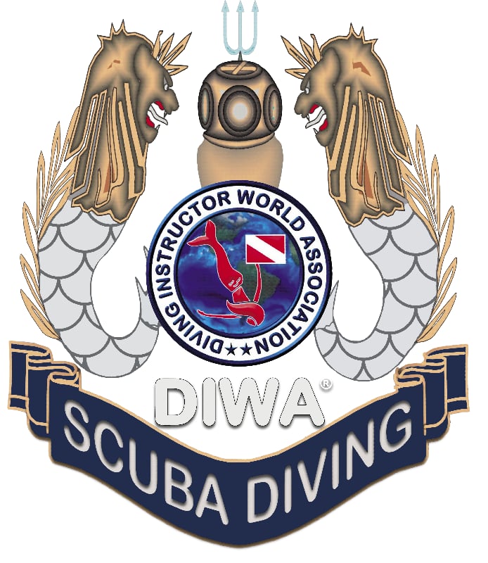 Diwa Diving Cards